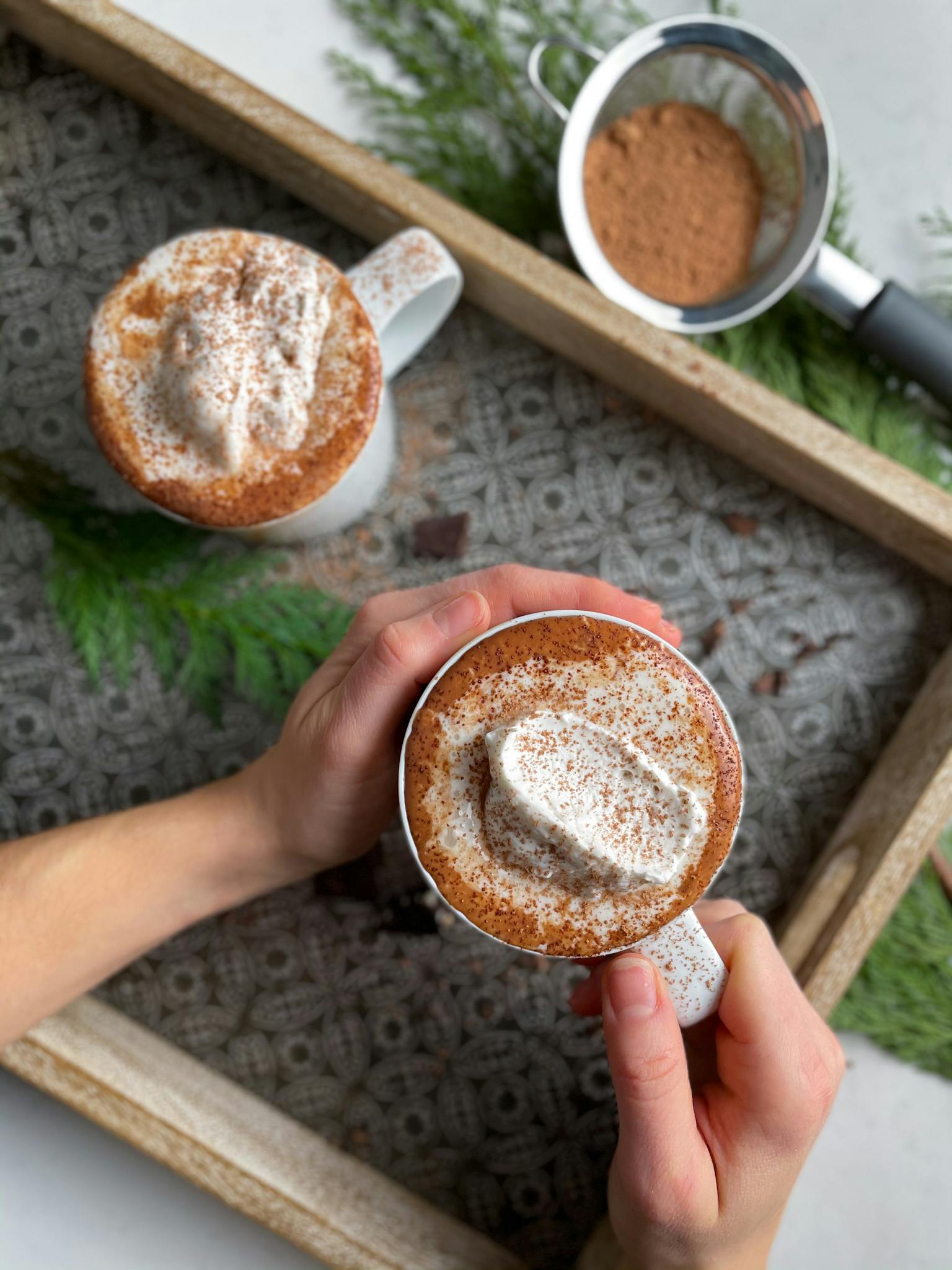Hands holding a mug of healthy hot chocolate.